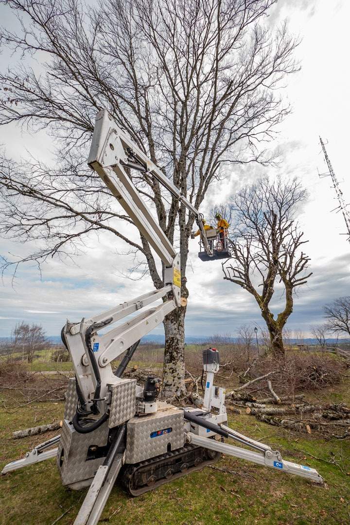 Elaguage arbre avec equipement Ytrac