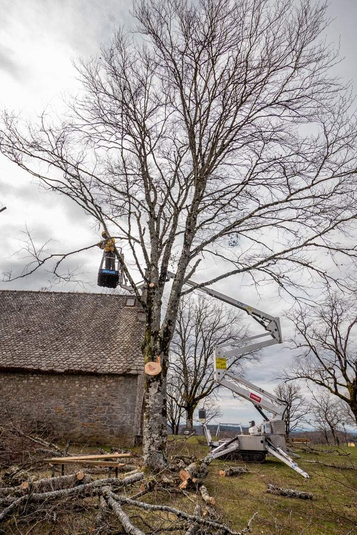 Elaguage d'arbre près d'une maison Ytrac
