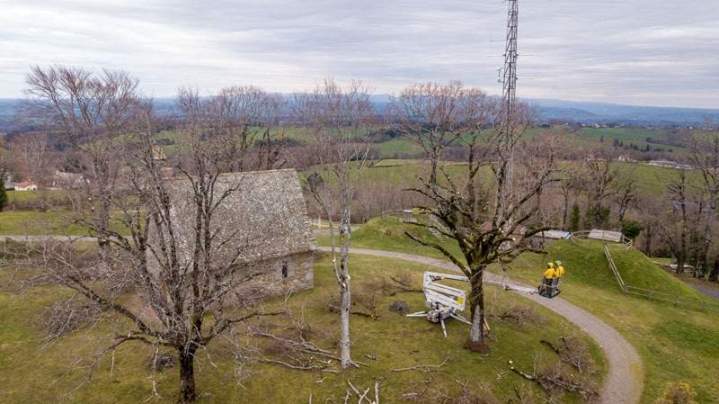 Entretien arbre Ytrac