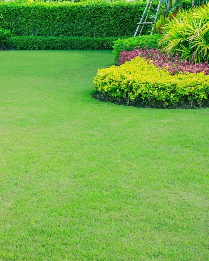 Création d'espaces extérieurs sur mesure
