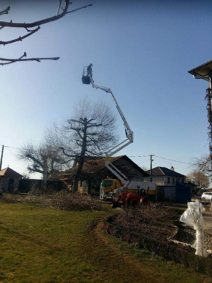 Etude d'en haut avant entretien espace Ytrac