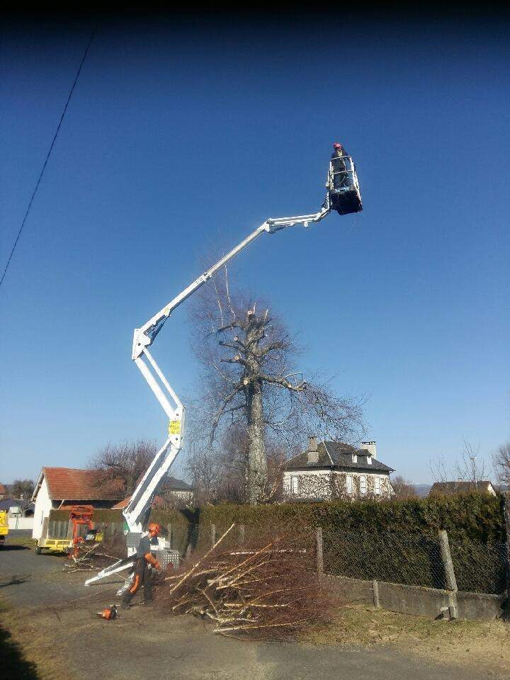 Fin d'élaguage arbres Ytrac