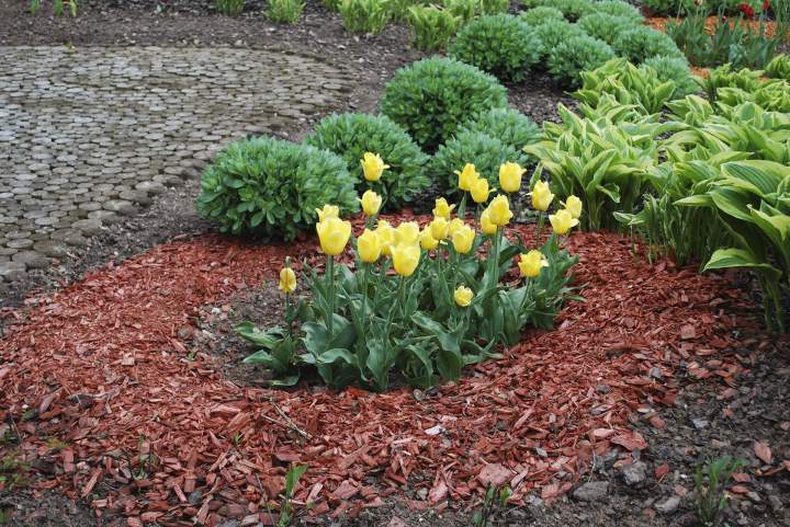 Jardin fleur Ytrac