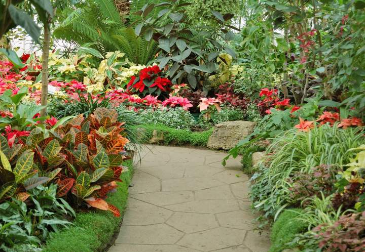 Jardin Ytrac
