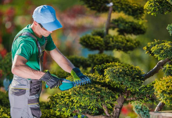 Entretien de jardin Ytrac