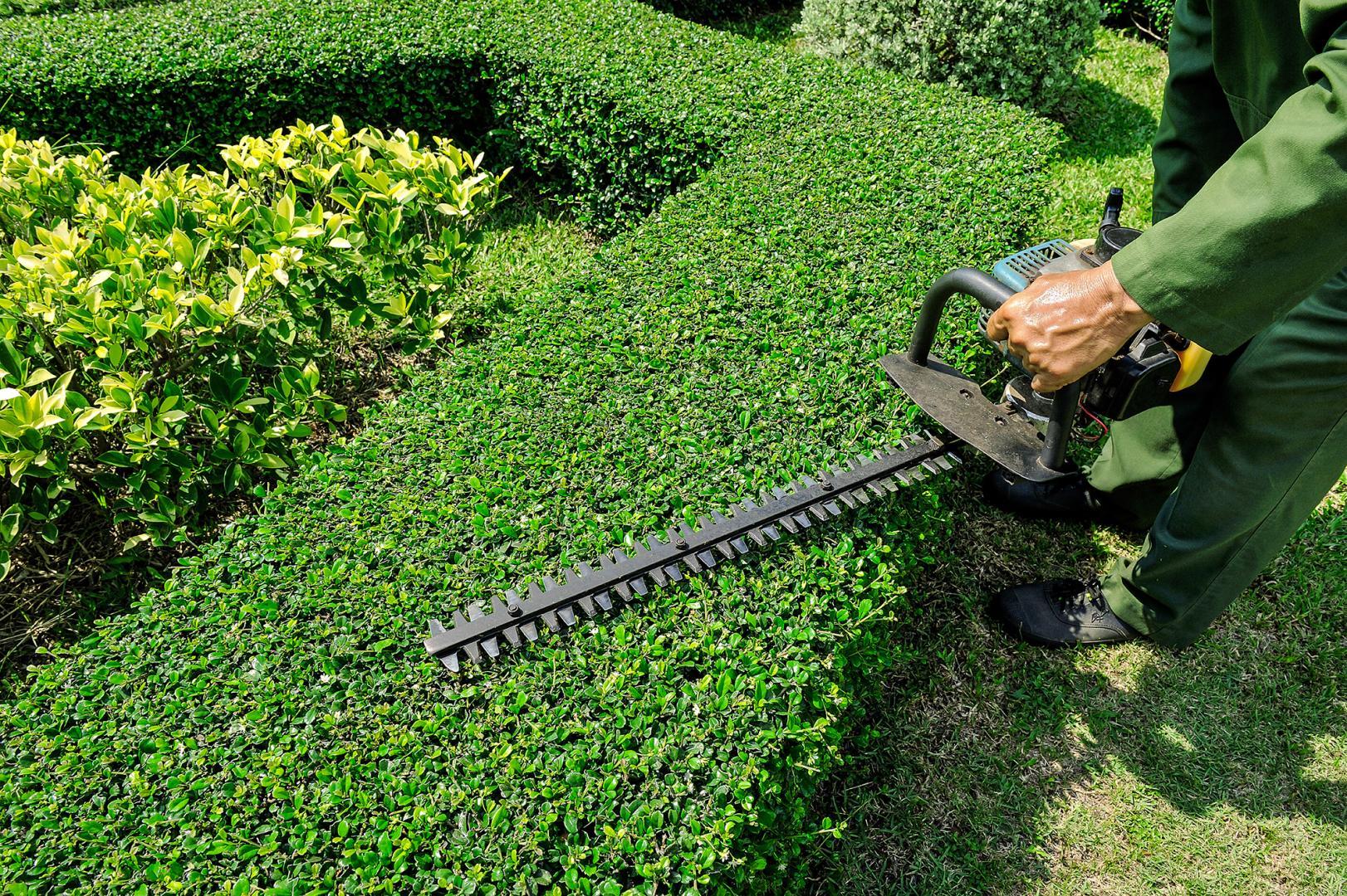 Jardinier-paysagiste Aurillac