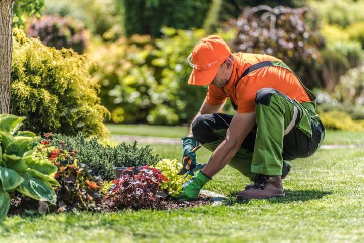 Professionnel de l'entretien de jardin Ytrac